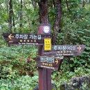 히어리 캠핑장 네이버블로그