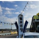 털보애견 이미지