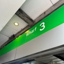 굿초이스 스포츠쎈타(권투) | 호주 시드니 여행 5일차(페리타고 맨리-셸리비치, wahlburgers, 젤라또, Baba Wu's Dumplings, 친친)