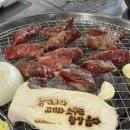 뼈삼 이미지