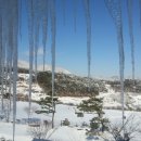 ok사슴목장 이미지