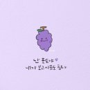 단디청과