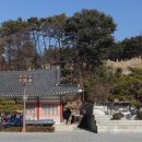 청주한씨청연공파묘역 이미지