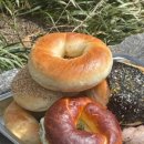 Bagle and(베이글앤드)
