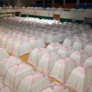 흥해체육관 체육관 이미지