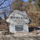 가목 이미지
