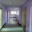 웰빙그린 이미지