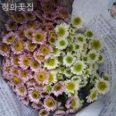 청화꽃집