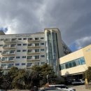 밤순식탁 | 속초여행 애견동반리조트 오션투유리조트 파노라마오션뷰스위트 숙소후기