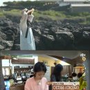 호박민박 이미지