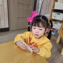 동전이 사라지는 마술상자 🎩 이미지