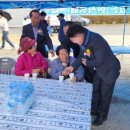 쌍치 추령천 벚꽃축제 네이버블로그