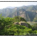 꽃지어울 이미지