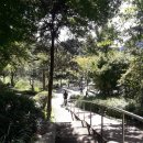 홍련봉공원 이미지