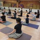 내몸을 깨우는 힐링요가(오전) B | 양산요가 / 빈야사 요가 수업 후기 (명상으로 시작하는 힐링 시간)