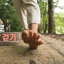 [생로병사의 비밀]맨발걷기 올바른 방법 이미지