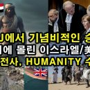 국제사법재판소 [ ICJ ] 기념비적인 승리 ! 궁지에 몰린 이스라엘/미/영 예맨 후티 전사, 휴머니티 수호자 ..... 이미지