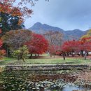 정은수산회타운 이미지