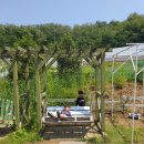 길군숯불돼지갈비 이미지