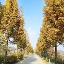 동이제방(임진강주상절리) | DMZ 평화의 길 12코스 연천 군남홍수조절지-임진교-동이리주상절리-연천 당포성-숭의전지 여행기록