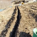 웃말농장 이미지