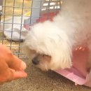 경희농장 이미지