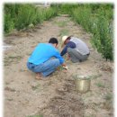 무등산 농원 이미지