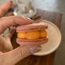 열매달열여드레 이미지