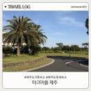 펫살롱 스위트하우스 | 야크마을 제주 '리빙 스위트' 2박 솔직 후기