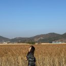 창규네주방 | 늦겨울, 당일치기 순천 여행 🌾