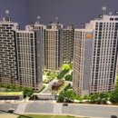 e비전케어 이미지