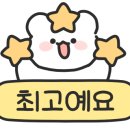 파핀투어 이미지