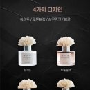 센트홀릭