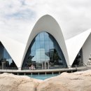 옥합결혼 이미지