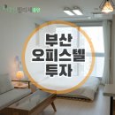 대신펠리체 이미지