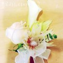 플로라 & 디자인스쿨 이미지