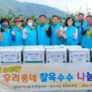남면옥수수 이미지