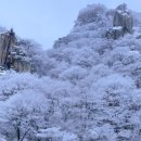 대둔산갤러리까페