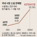 여성 작가와 한국 문학 이미지