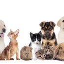 (주)바른종합관리 이미지