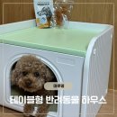 마루하우스 - 관악구 신림로23길 34 | 애견하우스 고민하다 마루멍 강아지하우스 정착, 후기