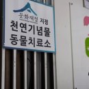 참좋은 동물병원 이미지