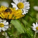 다미의원 이미지