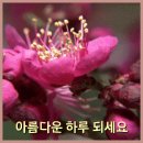 ★입으로 하고 싶어요. 이미지