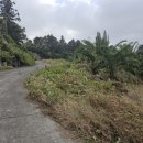 제주2공항OK공인중개사사무소 | 제주도 제주시 부동산 회천동 토지매매