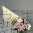 카멜플라워 | 카멜플라워 계양구 꽃집 네이버 고객리뷰 꽃집 후기