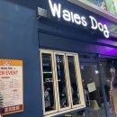 Wales Dog(웨일스독) | 웨일스독 - 망우카페 - 서울, 중랑구, 망우동