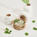 효성전자 이미지