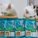 만수2구 이미지