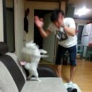 맥퀸스